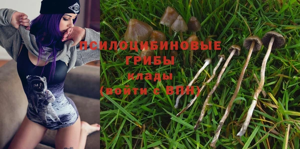 экстази Богородицк