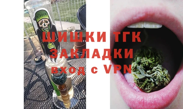 дживик Россошь