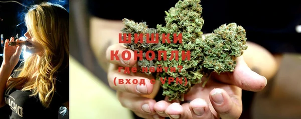 дживик Карпинск