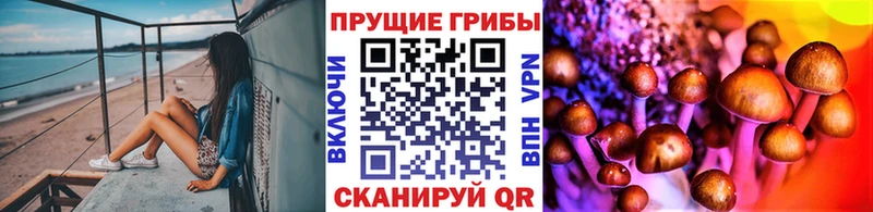 Псилоцибиновые грибы Magic Shrooms  mega   Сунжа 