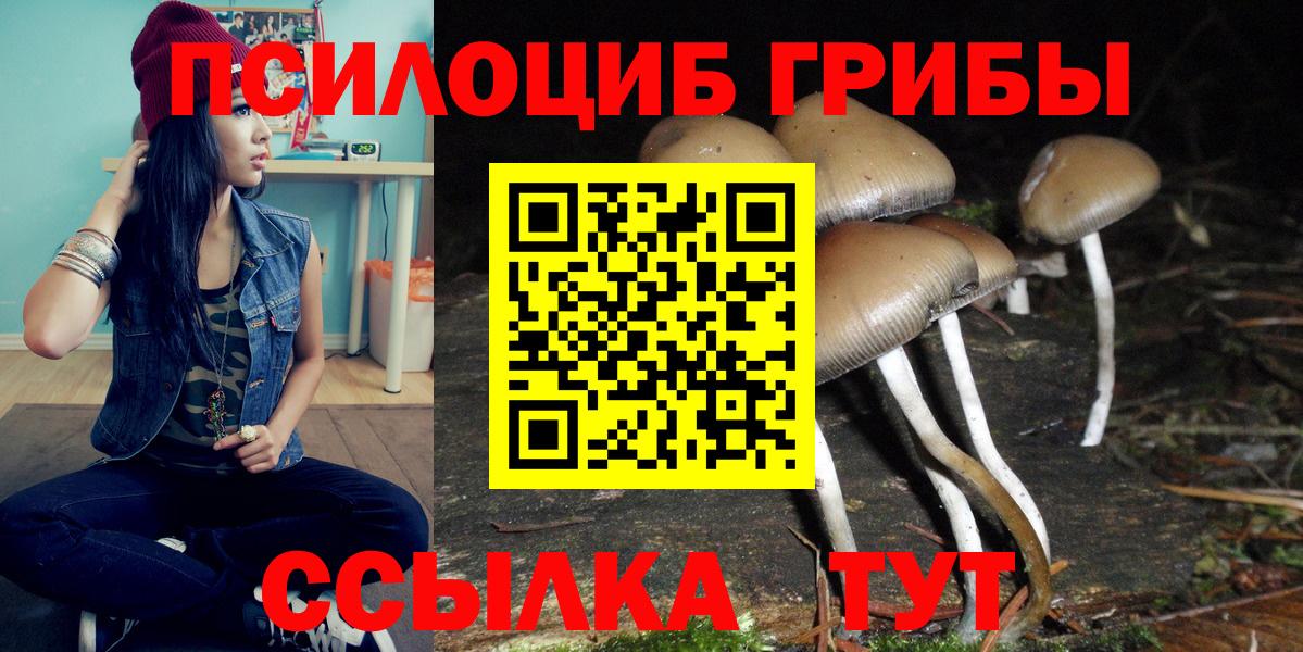 Псилоцибиновые грибы Psilocybine cubensis Сунжа