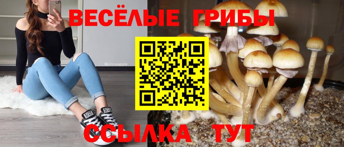 Галлюциногенные грибы GOLDEN TEACHER Сунжа