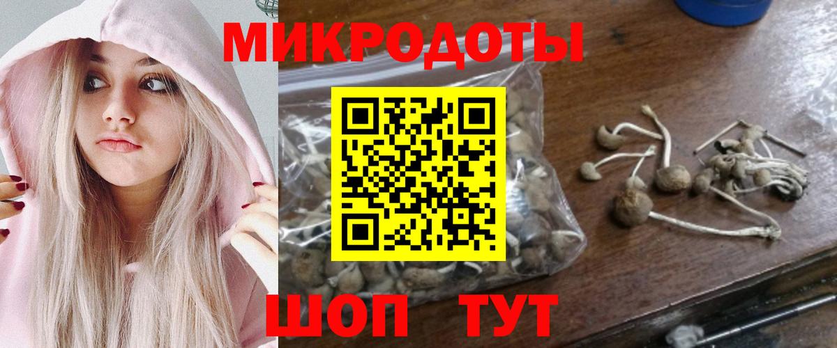 Псилоцибиновые грибы прущие грибы  Вход с VPN  Сунжа 