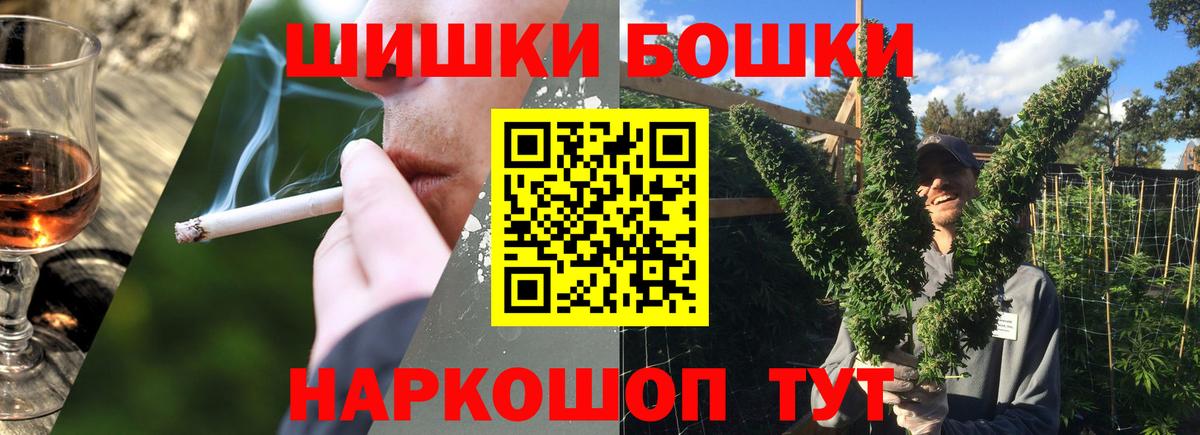 Сунжа  Бошки Шишки гибрид  Марихуана индика  Бошки марихуана сатива  Вход с VPN 
