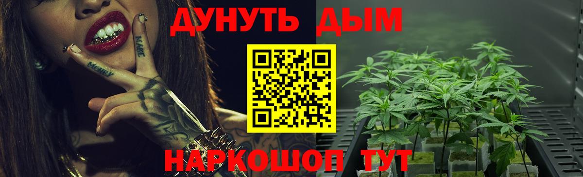 МАРИХУАНА гибрид Сунжа